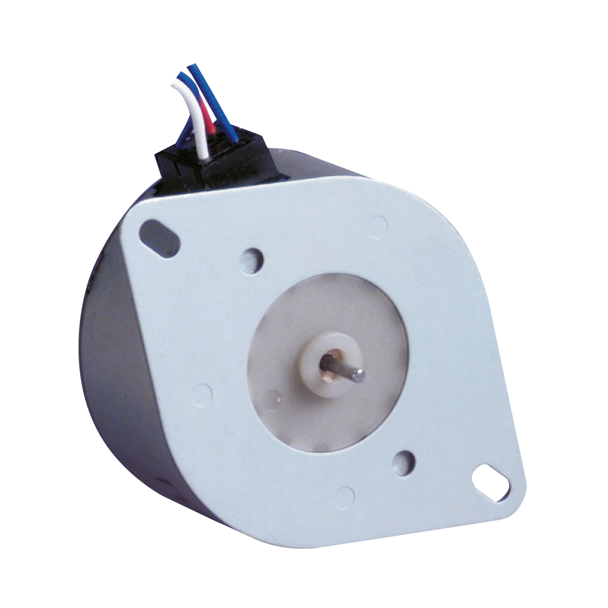 Synchronous Motor 825105 V=24 Hz=50/60 Dir.=2-1