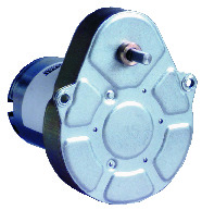 DC Brush Geared Motor 828610 Dir.=2 5000RPM Vdc=24 Con.=Tabs Fil.=Var. Ratio=40