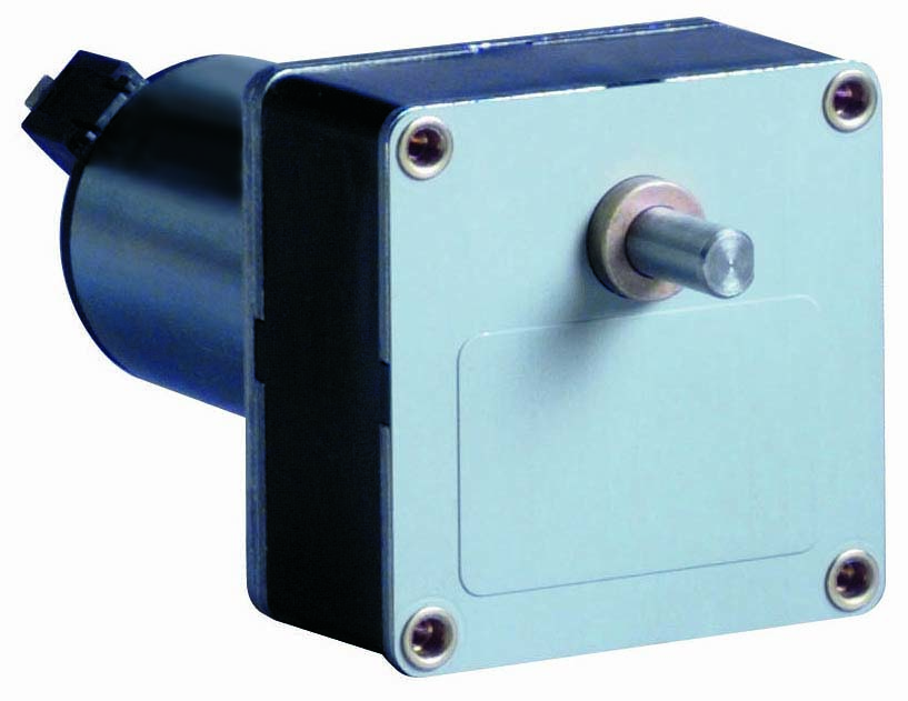 DC Brush Geared Motor 808170 Dir.=2 3000RPM Vdc=48 Ratio=250